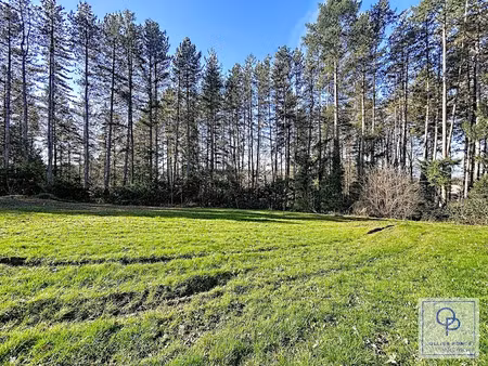 vente terrain 999 m² à la fouillouse (42480)  132 000 €