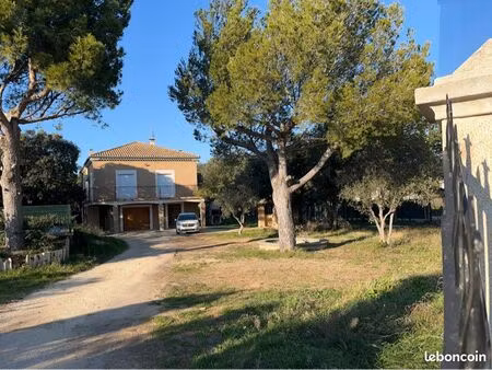 maison à louer avec grand terrain
