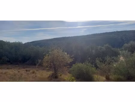 vente terrain 1185 m² à bize-minervois (11120)  120 000 €