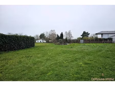 vente terrain 1536 m² à moulis-en-médoc (33480)  117 000 €