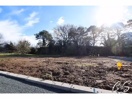 vente terrain à batir à loctudy (29750)  100 500 €