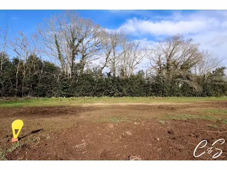 vente terrain à batir à loctudy (29750)  110 000 €