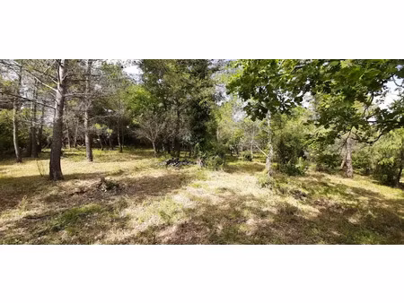 vente terrain 1003 m² à flayosc (83780)  135 000 €