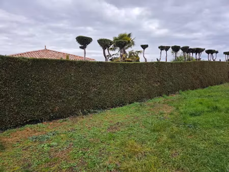 vente terrain 430 m² à tignieu-jameyzieu (38230)  135 000 €