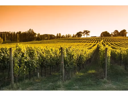 vente terrain 790 m² à carignan-de-bordeaux (33360)  179 000 €