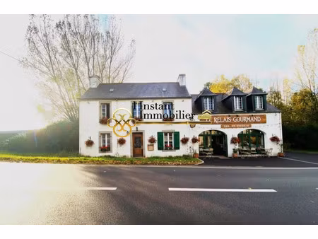 vente locaux professionnels 2456 m² à morlaix (29600)  107 000 €