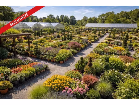 vente locaux professionnels 10000 m² à vannes (56000)  248 300 €