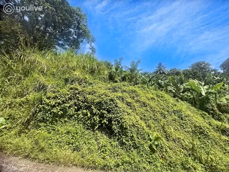 terrain 8 530 m² au calme – zone uba2 – le lorrain