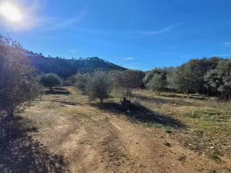 vente terrain 766 m² à cuges-les-pins (13780)  305 000 €