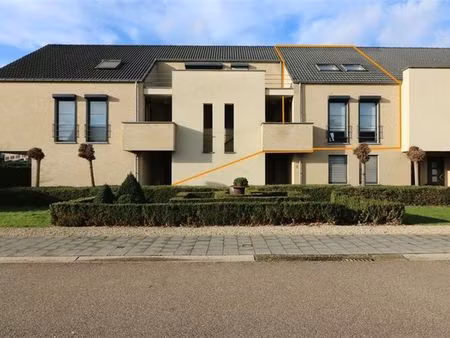 appartement à louer à tessenderlo € 1.200 (kakqg) - lissens | zimmo