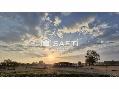 safti dumont arnaud conseiller indépendant