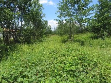 terrain constructible à vendre