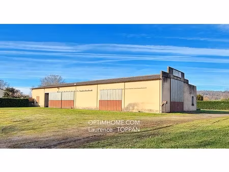 vente locaux professionnels 547 m² à granges-sur-lot (47260)  265 000 €
