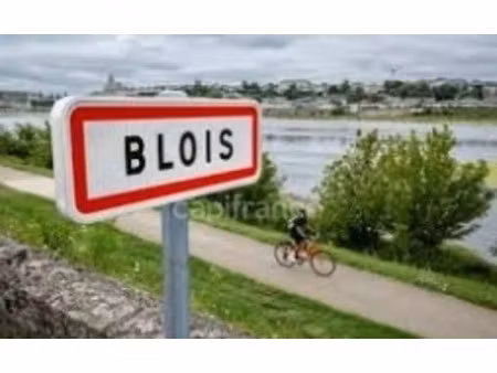 vente locaux professionnels 643 m² à vineuil (41350)  698 750 €