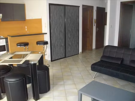 location meublée appartement 1 pièce 41.6 m² à vienne (38200)  550 €