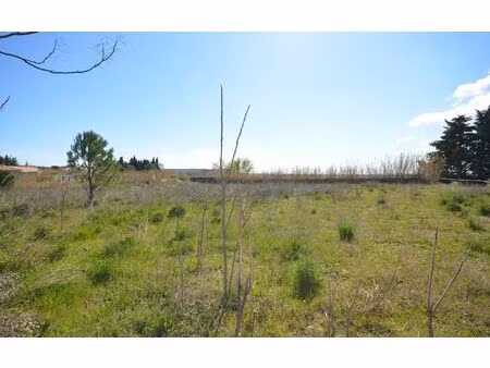 terrain saint-hilaire-d'ozilhan m² t- à vendre  105 000 €