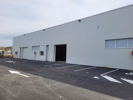 local d'activité salaise 371 m2