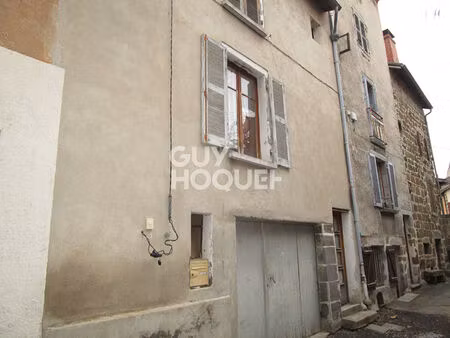 maisons langeac centre