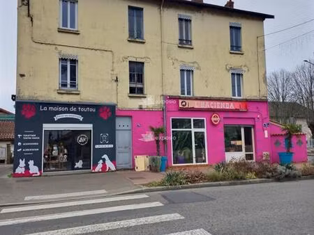 immeuble de rapport decines charpieu