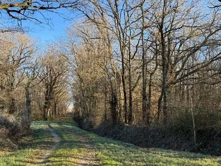 terrain de loisirs à tranzault (36230)