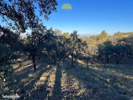 terrain 1895 m² montesquieu-des-albères