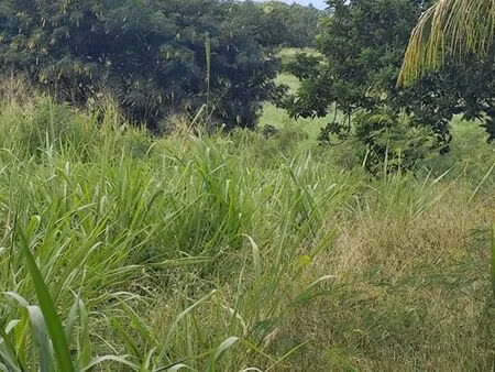 vente de terrain + maison