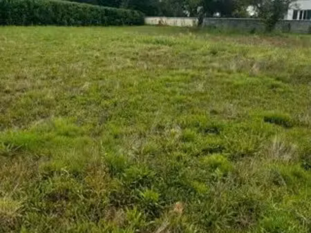vente terrain à basse-goulaine (44115) : à vendre / 540m² basse-goulaine