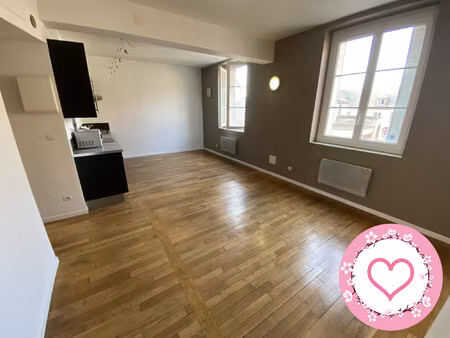 appartement t2 46 m2 sully-sur-loire