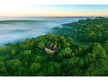 château paunat - 7 chambres - 550m²