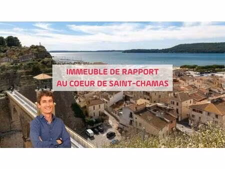 achat immeuble 371m² st chamas 13250