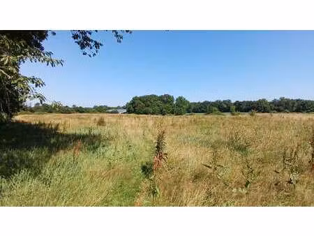 maison de luxe à vendre à mimbaste : 499 000 € | 220m²