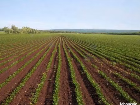 recherche terrain agricole