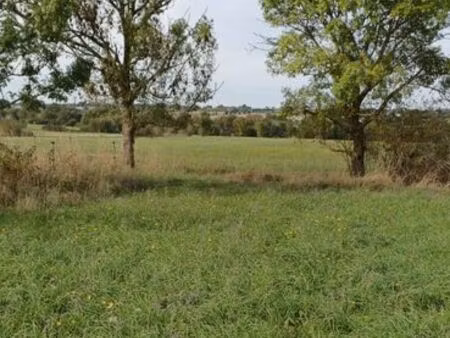 terrain de loisirs à 5 min d’ancenis