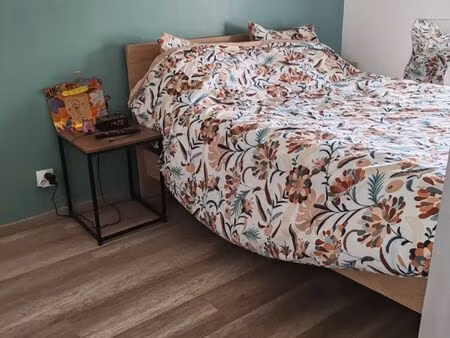 appartement f4 duplex avec jardin refait à neuf