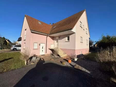 vente maison 12 pièces 312 m2 à marckolsheim