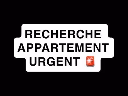 ‼️je recherche un appartement ‼️