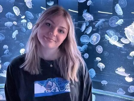 recherche location t2 ou t3