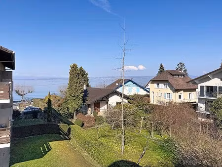 superbe appartement duplex de 4 pièces à vendre sur publier