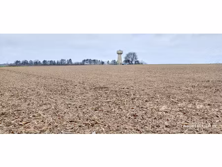 achat terrain 568m² avesnes les bapaume 62450