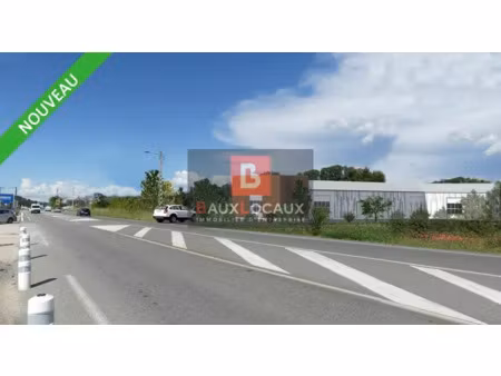 local d'activite a louer