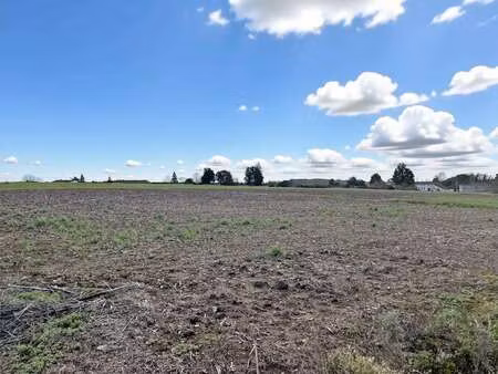 vente terrain à thaims (17120) : à vendre / 1576m² thaims