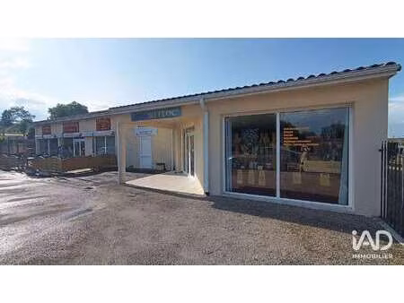 vente bureaux et commerces à saint-martin-d'ary (17270) : à vendre / 480m² saint-martin-d'