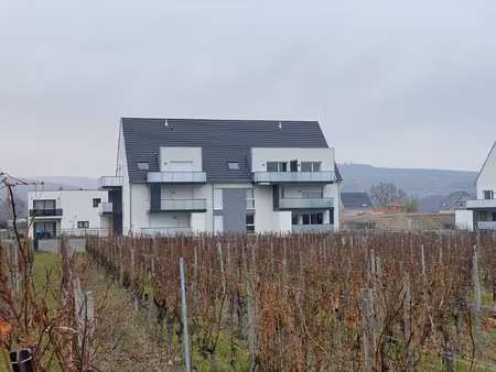 a turckheim  dans les vignes