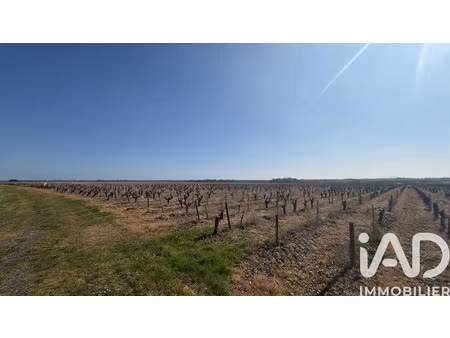 vente maison 7 pièces 679 m² à monnieres (44690)  380 000 €