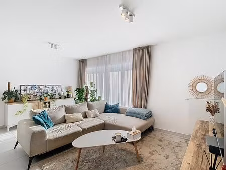 appartement à louer à rue dieudonné morel 45 belgrade (vbd69954)