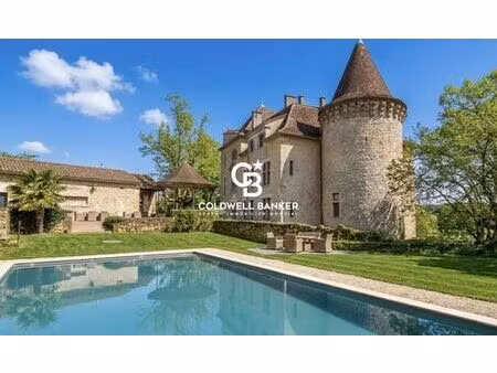 prestigieux château de 1200 m2 en vente - lissac-et-mouret  france