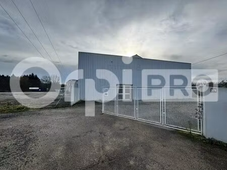 local commercial a louer