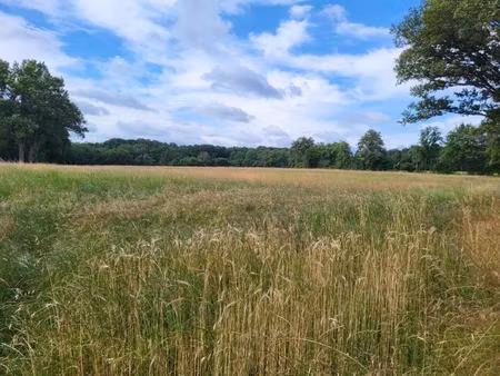 pâturages de grande qualité dans l'indre