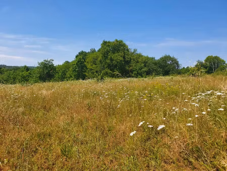 vente terrain 500 m² asques (33240)