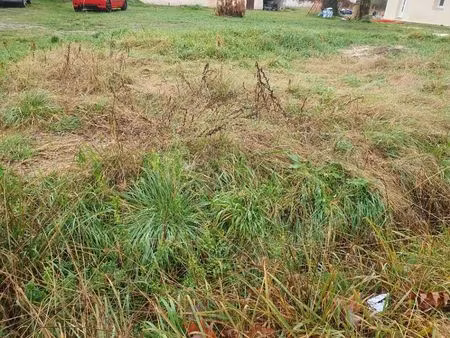 vente terrain 500 m² laruscade (33620)